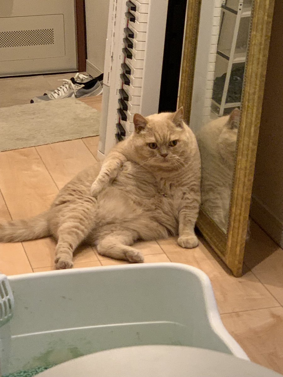 千秋奏平 tweet media