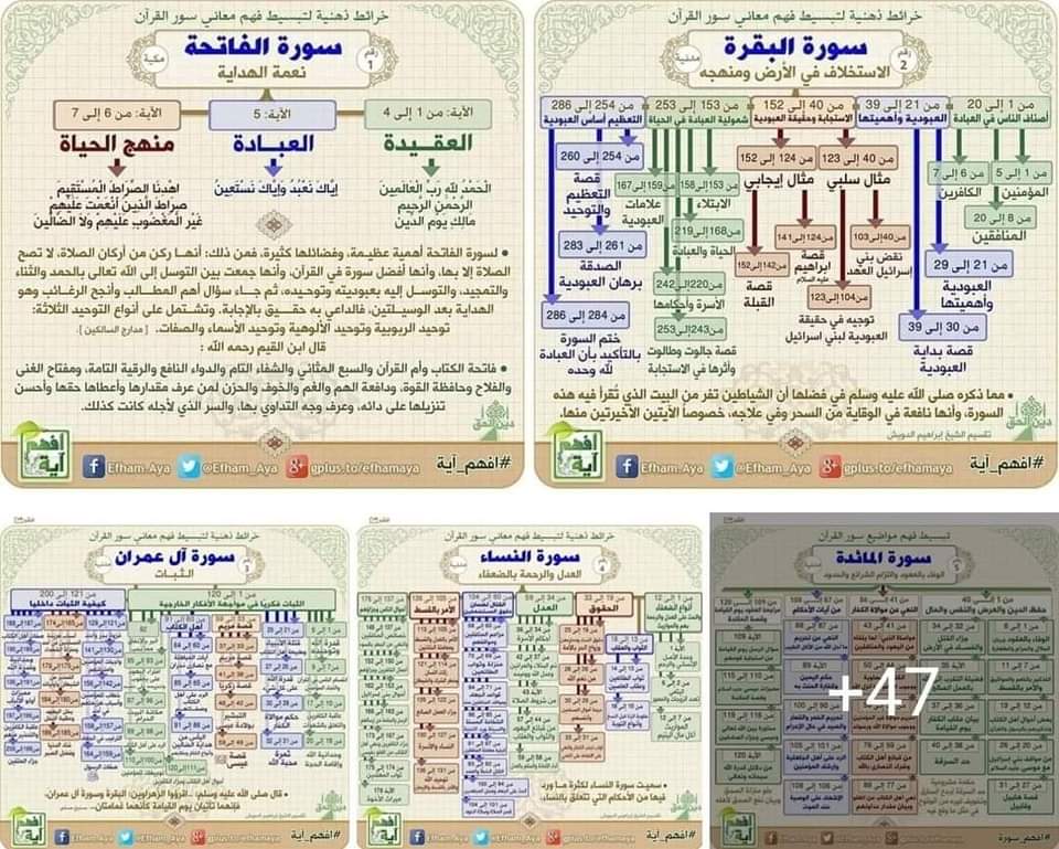 نورة tweet media