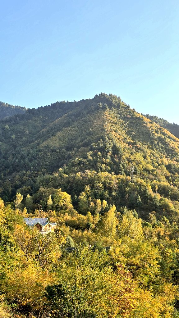 ANSARCLICKS's tweet photo. Autumn https://t.co/hplEBPnWJH