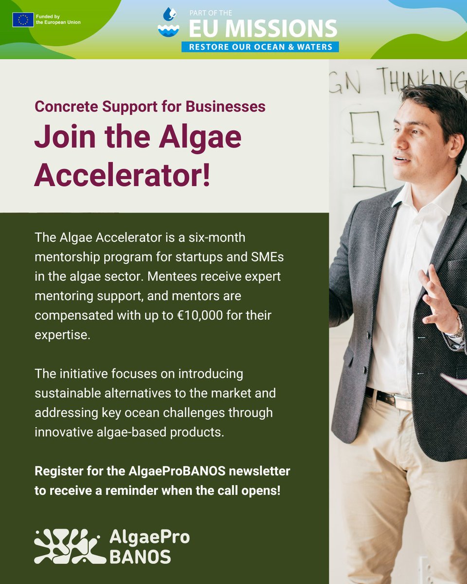 Mission Ocean Waters (@ourmissionocean) on Twitter photo Exciting news 📣!
#MissionOcean & Waters project <a href="/algaeprobanos/">AlgaeproBANOS</a> has launched an accelerator programme for businesses working on algae-based solutions 💡.
The programme is open to both #startups & #SMEs and mentors🤝.
Learn more & apply here 👉 tinyurl.com/359ex3sx Exciting news 📣!
#MissionOcean & Waters project <a href="/algaeprobanos/">AlgaeproBANOS</a> has launched an accelerator programme for businesses working on algae-based solutions 💡.
The programme is open to both #startups & #SMEs and mentors🤝.
Learn more & apply here 👉 tinyurl.com/359ex3sx