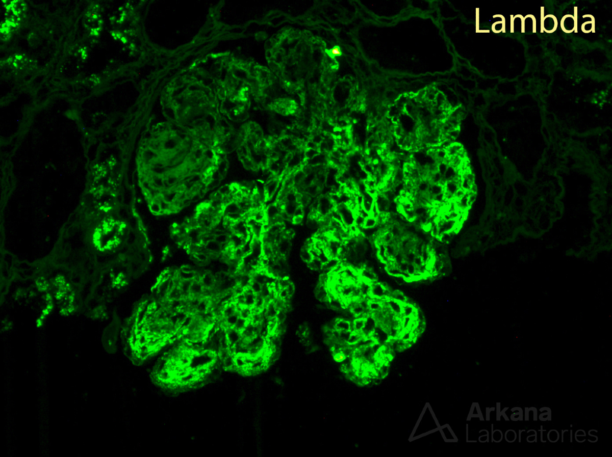 Arkana Laboratories tweet media