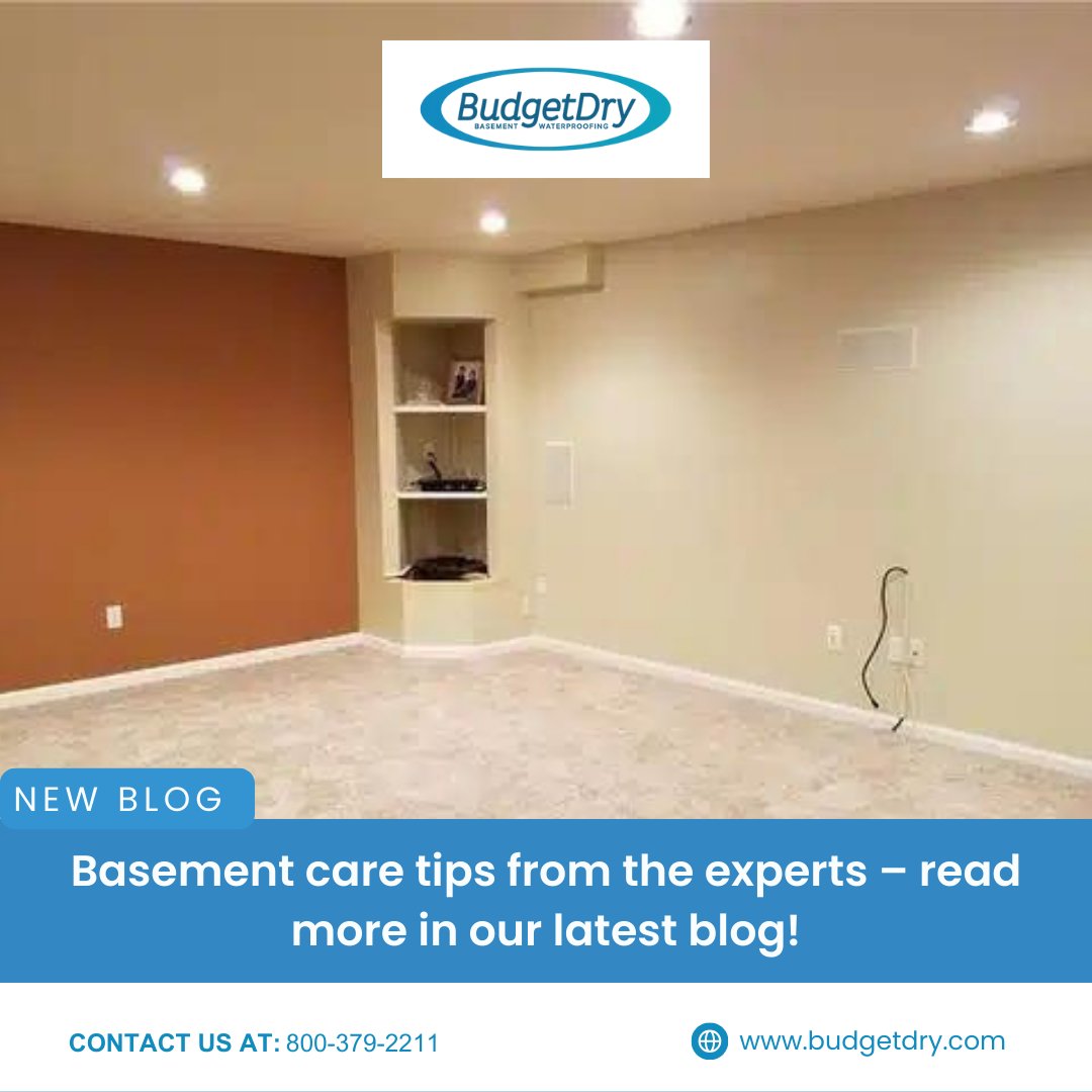 BudgetDry's tweet photo. Curious about how to protect your basement from water damage? Check out our latest blog for expert insights and helpful tips! 

https://t.co/n1k3iRHZ5b 

#BasementProtection #Waterproofing #HomeTips #WaterDamagePrevention #BudgetDry https://t.co/sdxds8tzlA