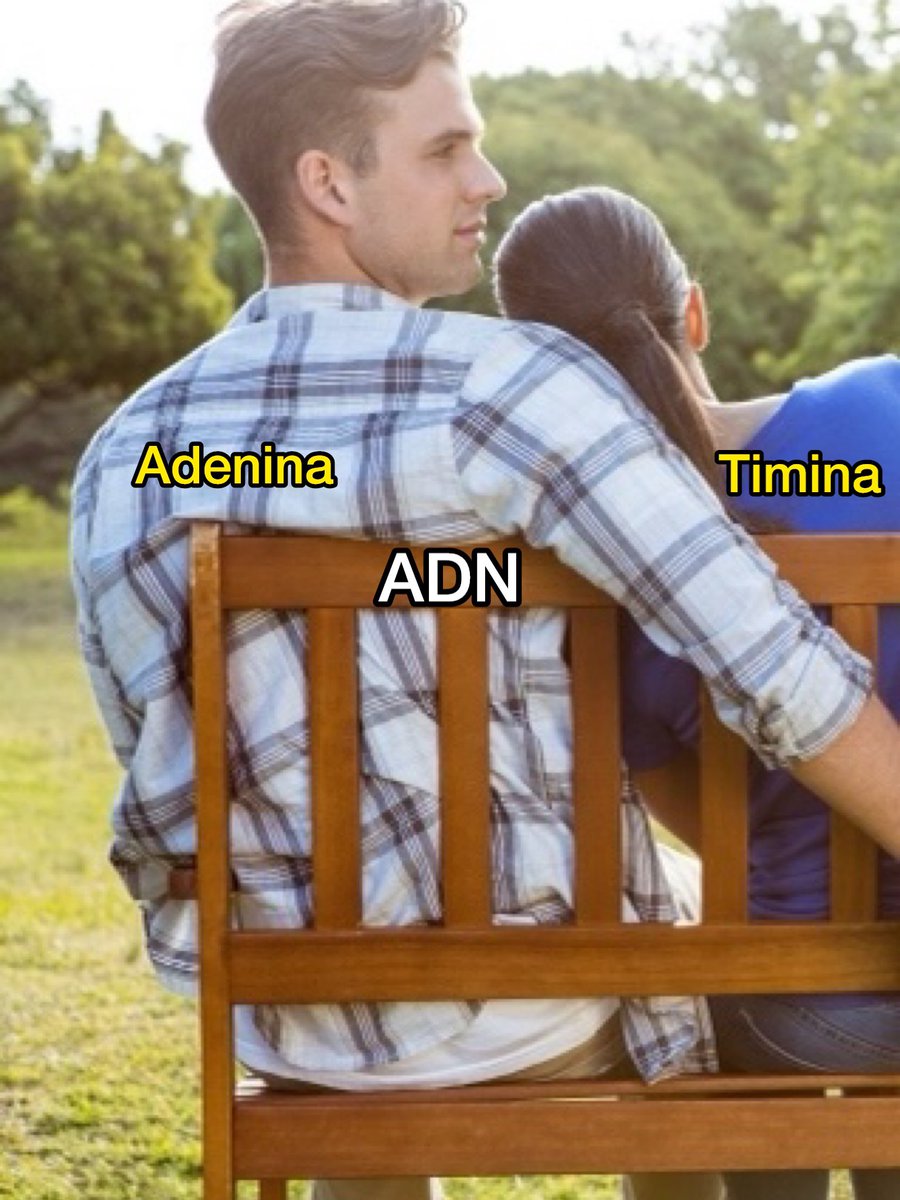 AcademiaOsorio's tweet photo. https://t.co/ELwpQC0kEm
