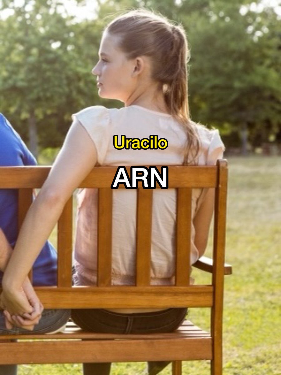 AcademiaOsorio's tweet photo. https://t.co/ELwpQC0kEm