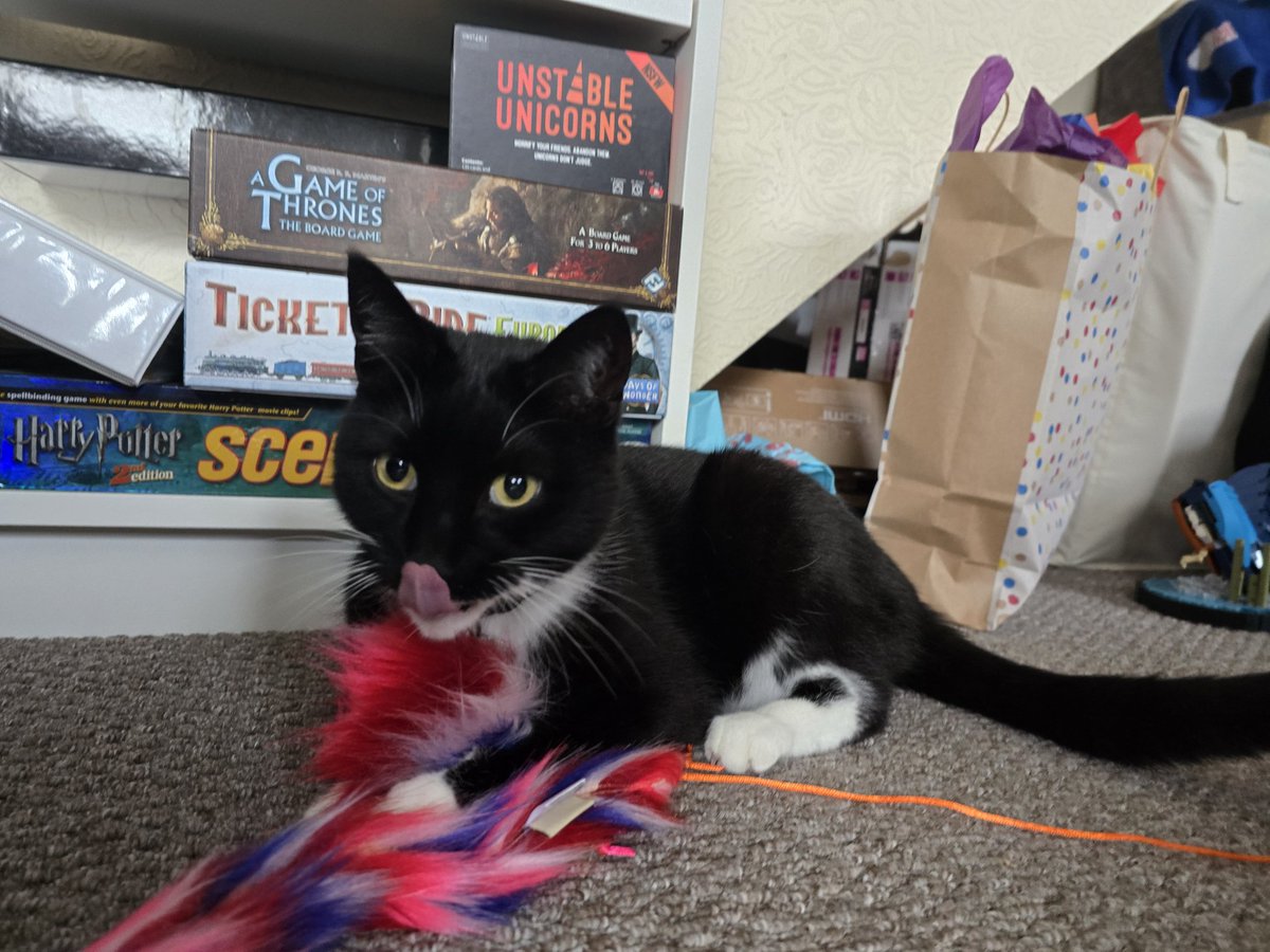 Life is strange and bizarre at the moment. So much loss. I don't have the words or the social battery to respond to people.

Please forgive me. I'll try to come back eventually 💜