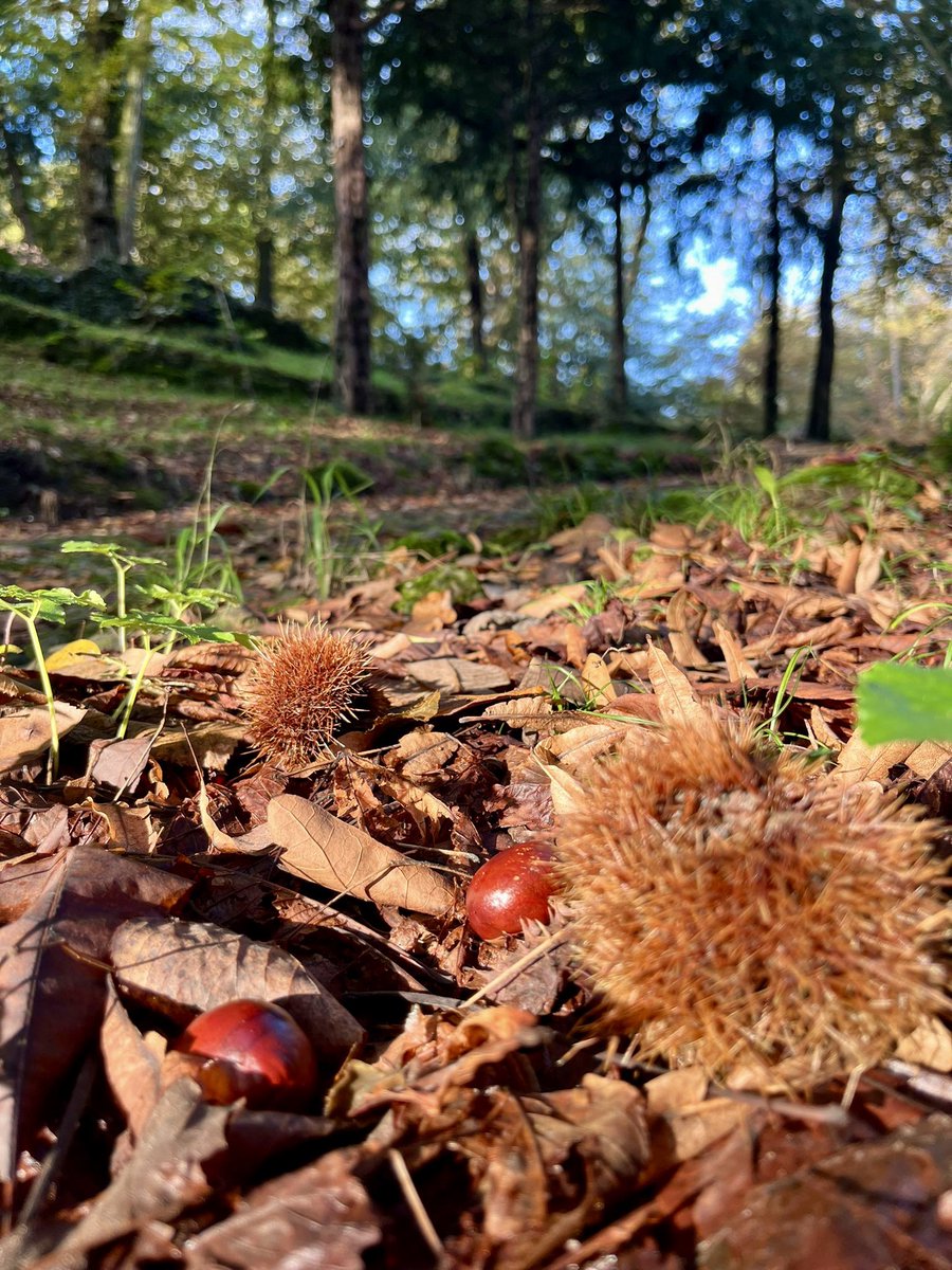 Comune di Varese tweet media