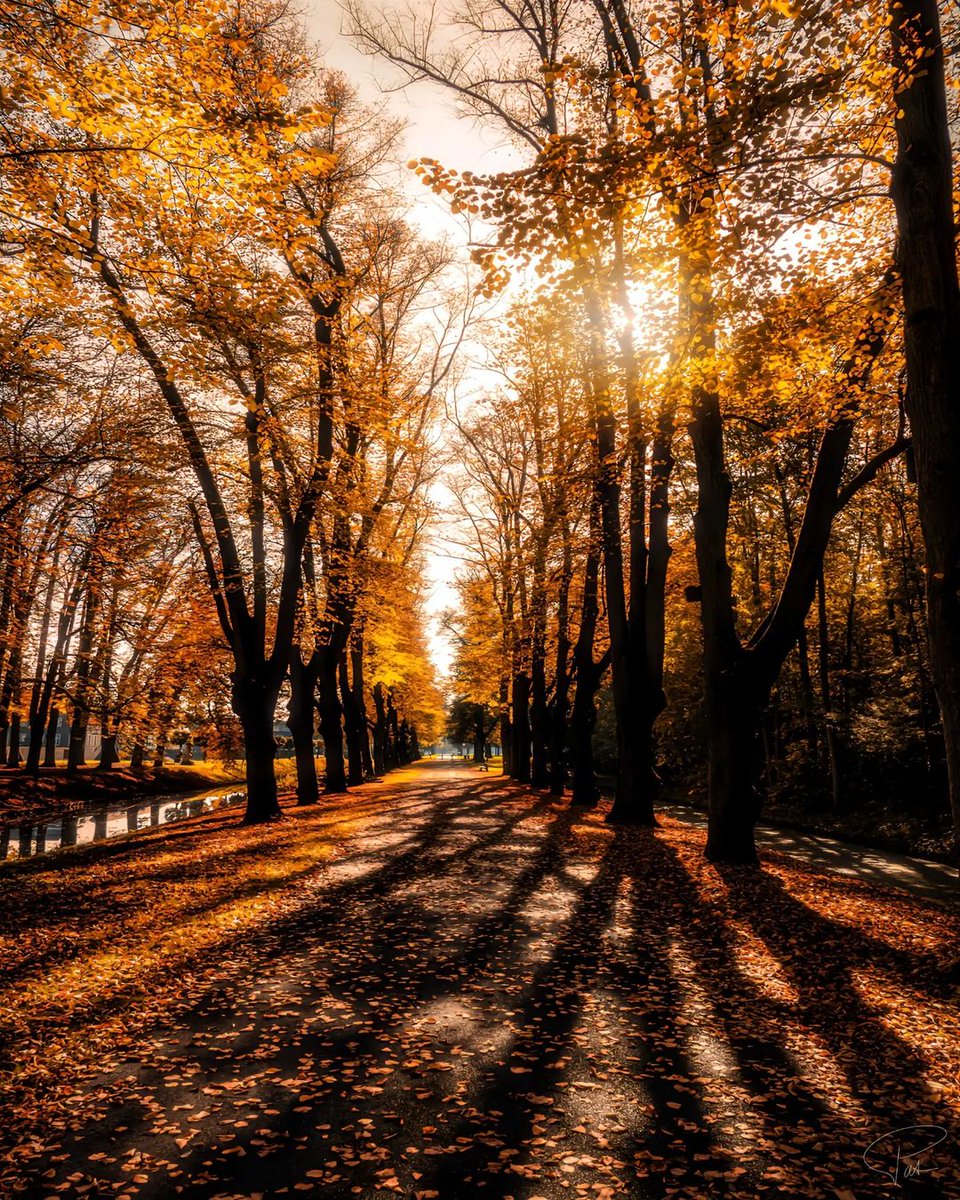 Good morning 🍁🍂
Blessed week, autumn days.