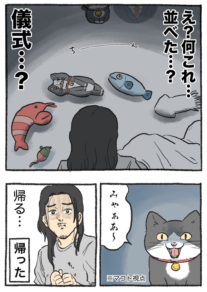 ねこに転生したおじさん。その574