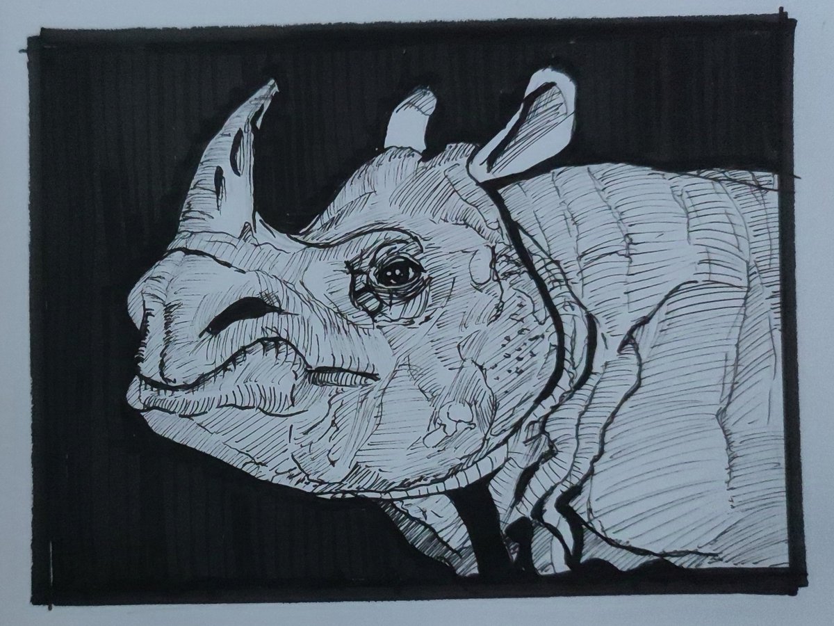 daiza_47's tweet photo. #Inktober #inktober2024 
Rhinoceros https://t.co/51RXoQdsx8