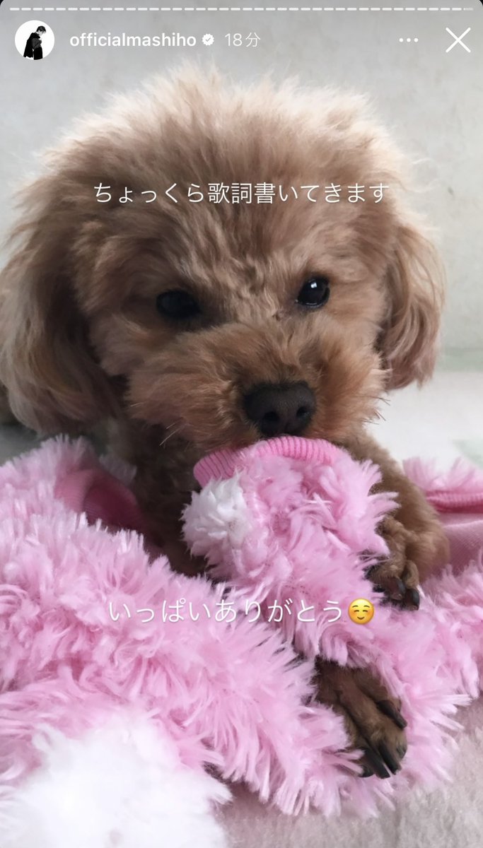 msh325555's tweet photo. かんんんわいたまらん https://t.co/XVG6lRYRXf
