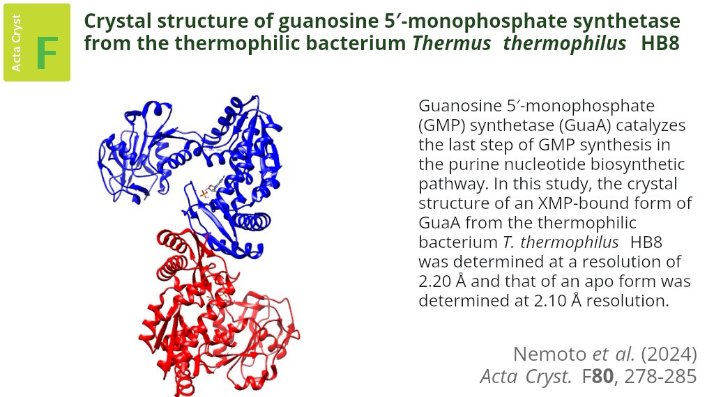 ActaCrystF's tweet photo. The first crystal structure of a bacterial guanosine 5′-monophosphate synthetase complexed with xanthine 5′-monophosphate is reported @uectokyo @ActaCrystF @IUCr #AlphaFold2 #GuanosineMonophosphateSynthetase #MolecularDynamicsSimulation https://t.co/4nwlJkbpE4 https://t.co/1zOuFkvBT4