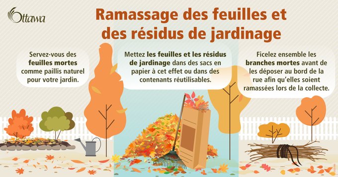  Infographie intitulée « Ramassage des feuilles et des résidus de jardinage » où l’on voit différentes images : des feuilles mortes, des arbres, un râteau, des fagots et un sac pour feuilles et résidus de jardinage en papier. On peut y lire : « Servez-vous des feuilles mortes comme paillis naturel pour votre jardin. Mettez les feuilles et les résidus de jardinage dans des sacs en papier à cet effet ou dans des contenants réutilisables. Ficelez ensemble les branches mortes avant de les déposer au bord de la rue afin qu’elles soient ramassées lors de la collecte. »