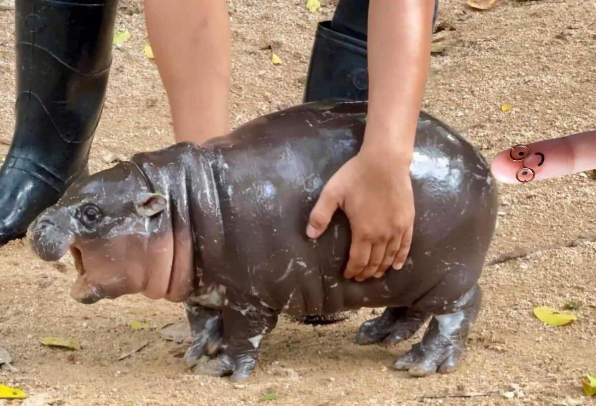 Fero calls tweet media