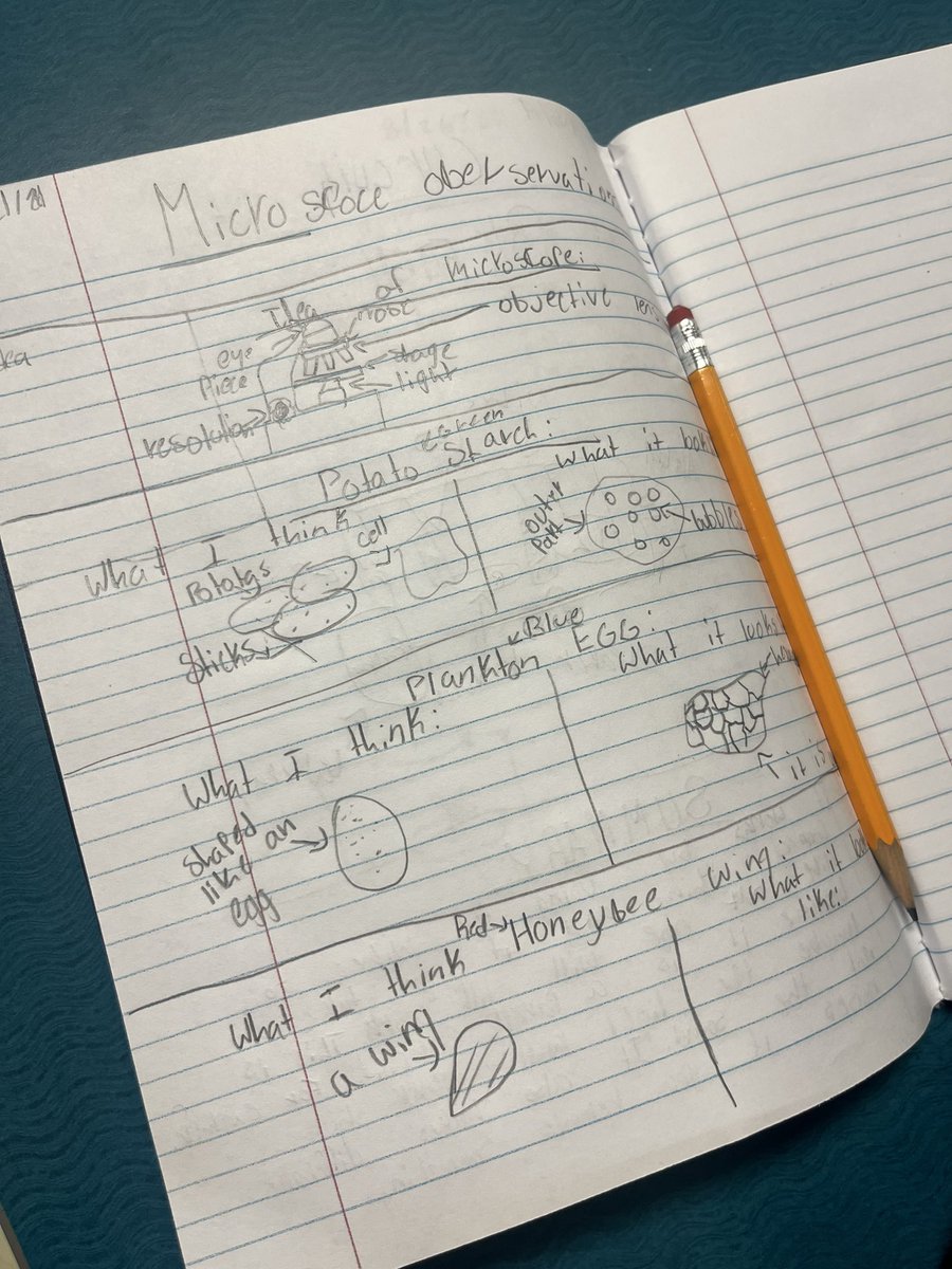 @HuskySTE(a)M tweet media