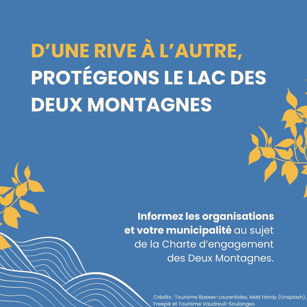 📌 4 raisons pour lesquelles le lac des Deux Montagnes est important pour la santé physique et mentale de la population 😌 Et vous? Pourquoi aimez-vous le lac?   

D’une rive à l’autre, protégeons le lac des Deux Montagnes : cremtl.org/fr/demarche-co…