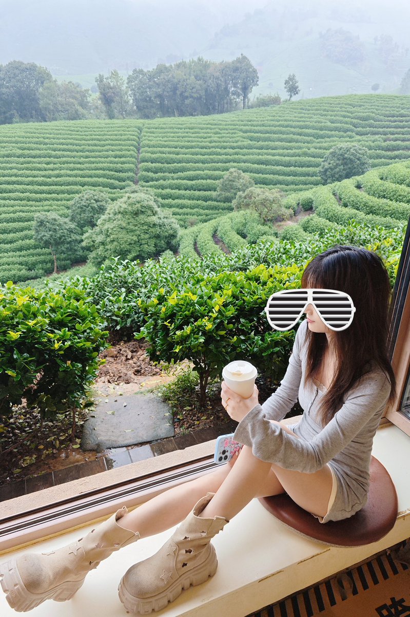 苏州-长颈鹿 tweet media