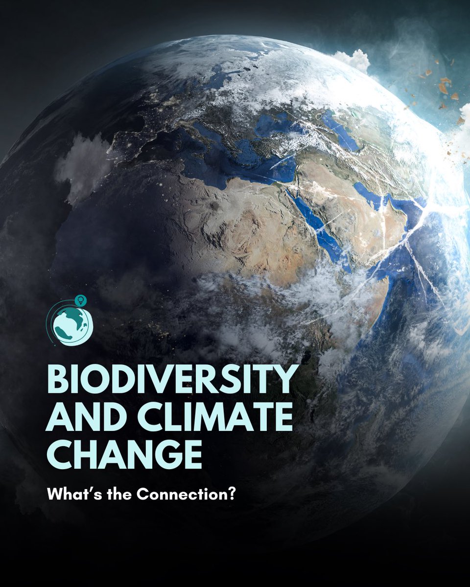 NowBoarding4's tweet photo. Biodiversity &amp; climate change are two sides of the same coin. If we lose species &amp; ecosystems, the planet becomes more vulnerable to rising temperatures. Let’s aim to protect not just biodiversity but also climate change.

{NowBoarding, podcast, podcasting} https://t.co/FSOD5XM4bg