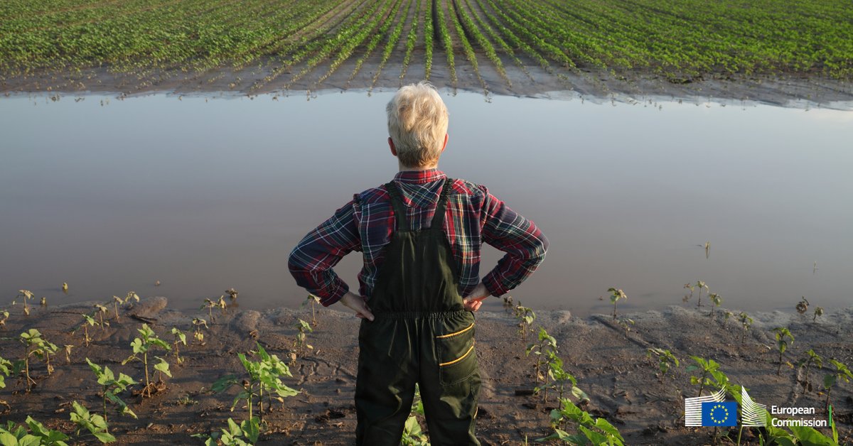 The EU Commission keeps standing by the agri sector by allowing EU countries to channel EU rural development funds to directly support farmers affected by natural disasters More👉europa.eu/!mmFXwk