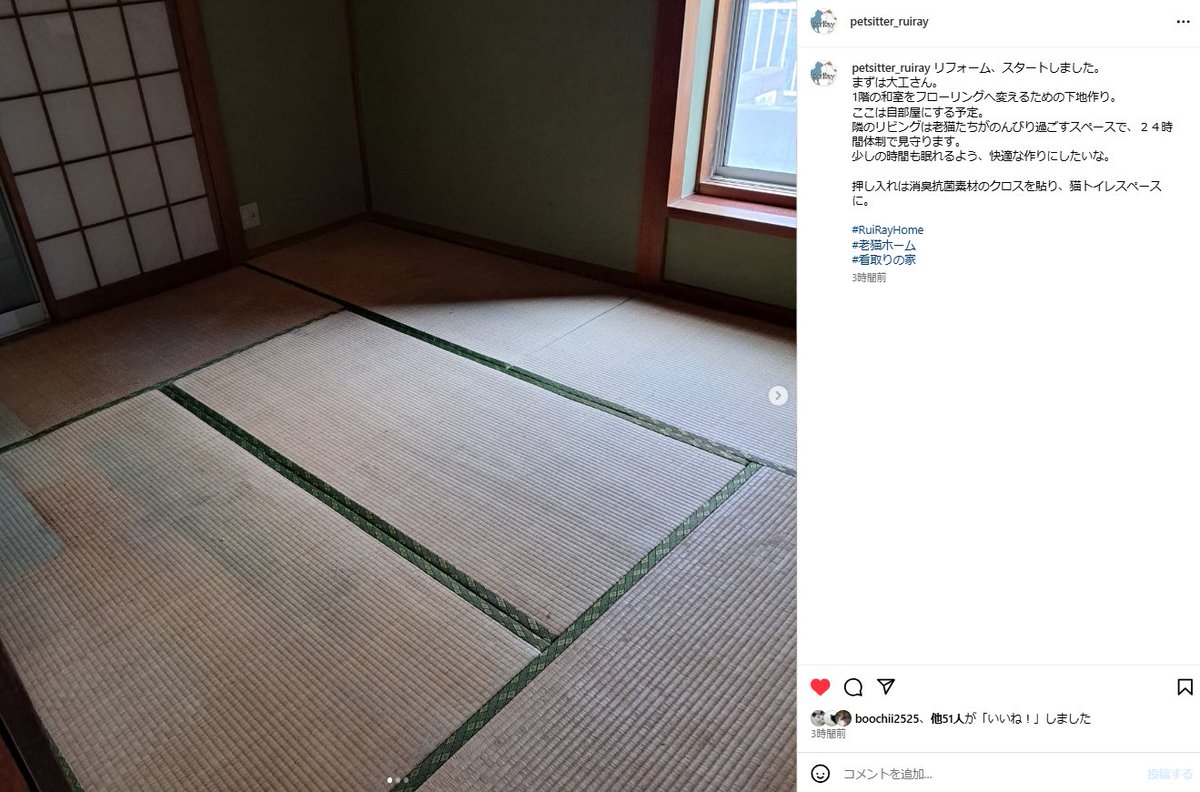 gfancats's tweet photo. 見た目はごく普通のヒトなんですが…どこにそんな時間とエネルギーがあるのか、ナマケモノ寄りの私は驚嘆するのみ。今度爪の垢もらおうかしら😐
インスタの投稿より:
「リフォーム、スタートしました。」
https://t.co/xcruqFHmcp
#RuiRayHome
#老猫ホーム
#看取りの家
#ペットシッターRuiRay https://t.co/7D67eXcoVO