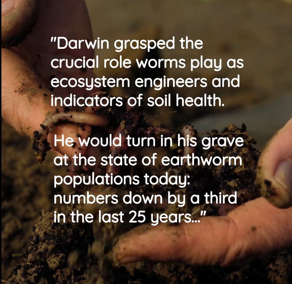 LandAliveSW's tweet image. Worms are the ultimate ecosystem engineers and soil health indicators. 

Find out more from leading soil scientist Prof Andrew Neal, Niels Corfield and others at LandAlive, 22/23 November.🌱💚🪱  

#RegenerativeFarming #SoilHealth #SustainableAgriculture #ClimateAction
