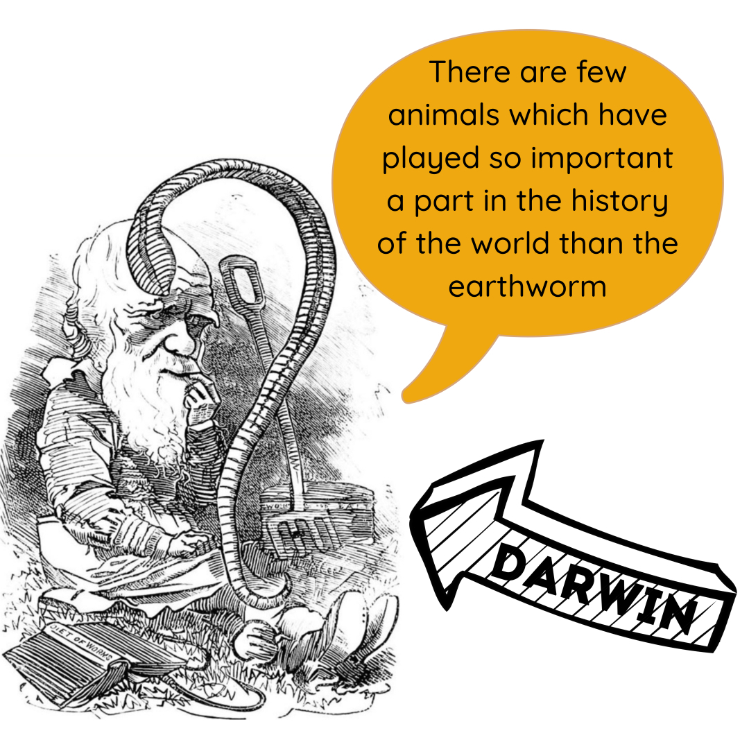 LandAliveSW's tweet image. Worms are the ultimate ecosystem engineers and soil health indicators. 

Find out more from leading soil scientist Prof Andrew Neal, Niels Corfield and others at LandAlive, 22/23 November.🌱💚🪱  

#RegenerativeFarming #SoilHealth #SustainableAgriculture #ClimateAction