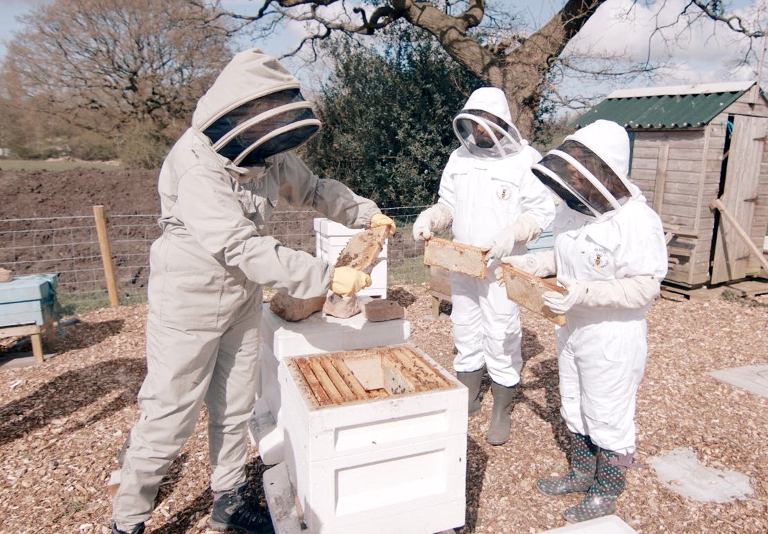 VisitLancashire's tweet photo. Happy #NationalHoneyDay - a great chance to celebrate delicious honey and the amazing bees that create it.  🍯

If you are looking for somewhere local to source some top-quality honey, why not check out @thebeecentre ? Trust us, the place is buzzing! 🐝

Discover more 👉 https://t.co/AKZQwdQ4wG