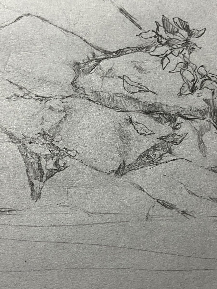 石描くの楽しい…🪨 