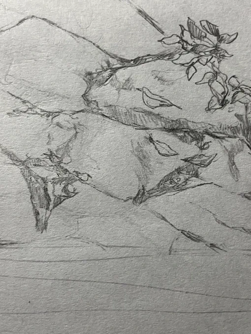 石描くの楽しい…🪨 