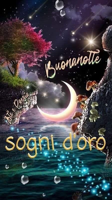 RITABIANCHi56 tweet media