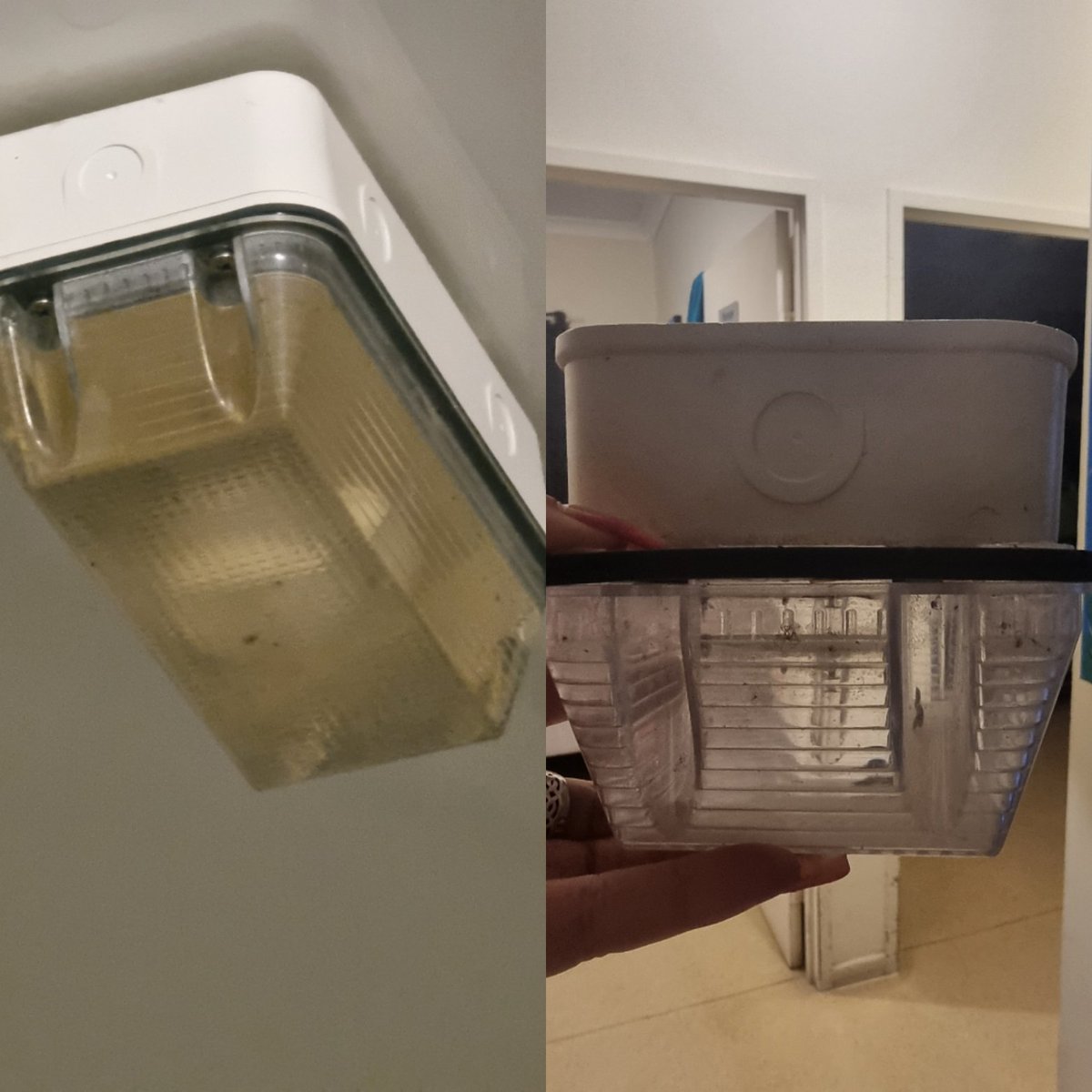 Miss_Feed's tweet photo. @StevenJMiles @MichaelHealyMP
If #Labor takes action for things that matter to the community, why was a man with quadriplegia left to live in a DoH unit, in these conditions for 5 weeks?

Is this a typical, or ethical, response time?

#auspol #Queensland Labor #disabilityrights https://t.co/OAkMQsS8Io