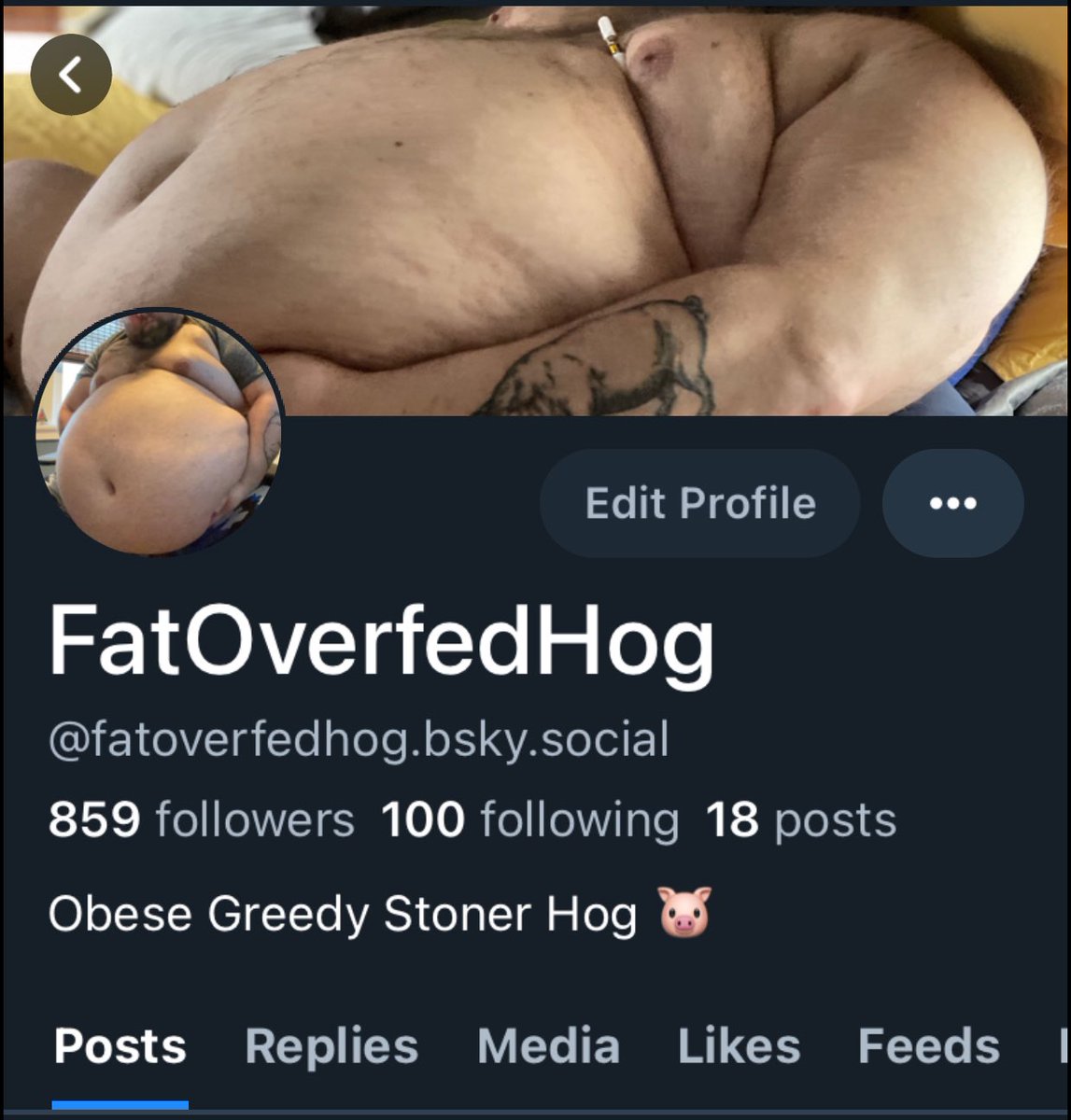 FatOverfedHog tweet media