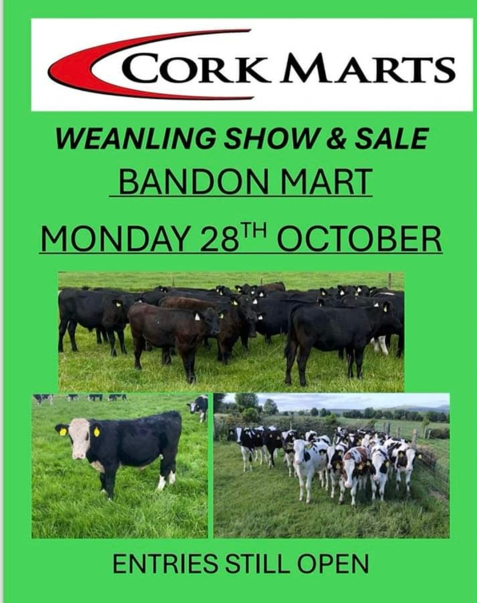 Cork Co-op Marts Ltd (@corkmarts) on Twitter photo 