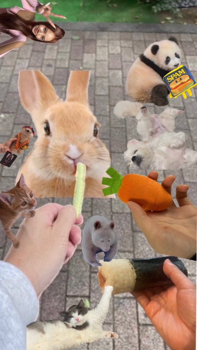 sousou722_'s tweet photo. @GudeSketch3737_ @kennytaker1128 @akrysr @haerin5588 @mmaaa_c @hypebooooy__ @nj_seol @nekogachikawaii @PlayNewjeans @_usagitokamesan @hypebooooy__ 
我が家のスパム食べさせとくね🍽️ https://t.co/ALTXLBP1tb