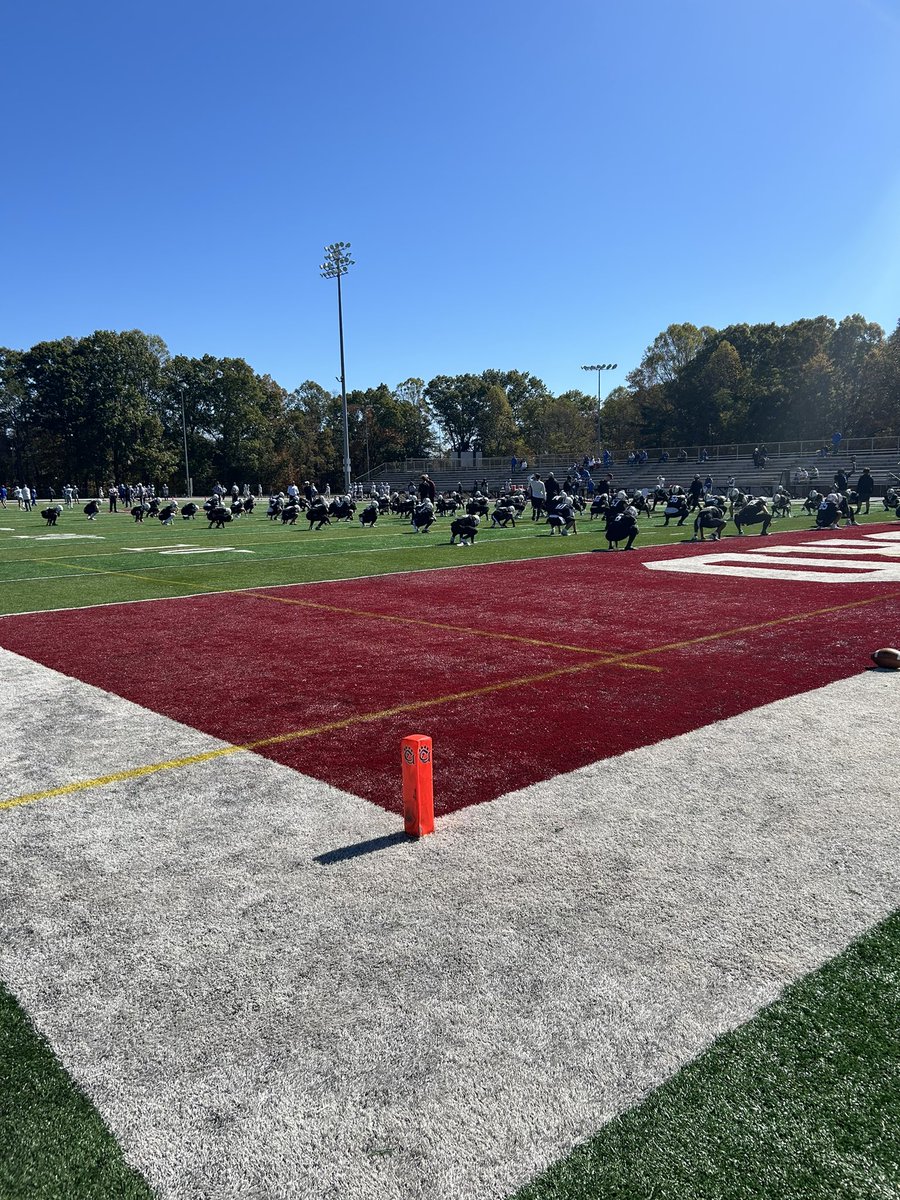 Carter Stephens tweet media