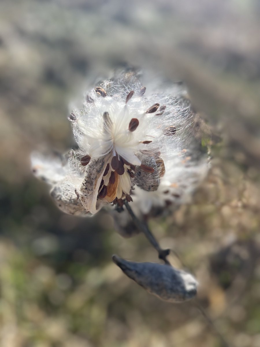 neilturkewitz's tweet image. #InfinitePotential