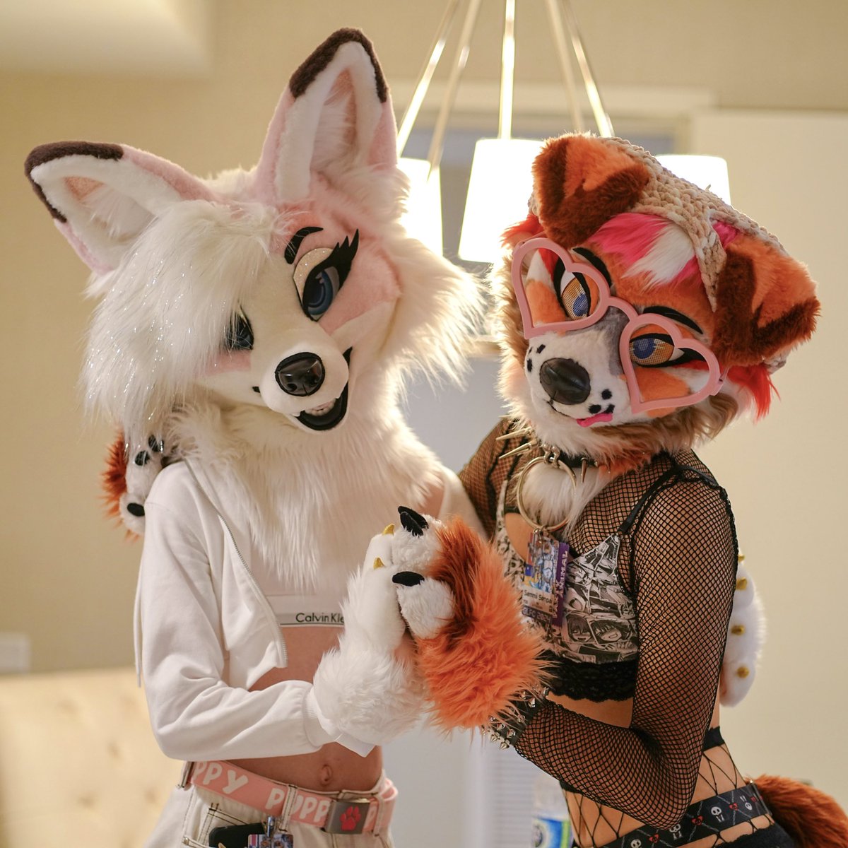 Felt cute this morning~ 🤍🩷☀️✨

📸: @NaomimiBun
#furry #fursuit #fursuiter #fursuiteveryday #furryfriends