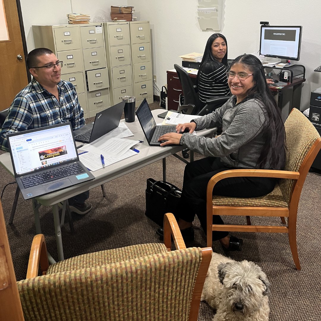 Immigration Counseling Service tweet media