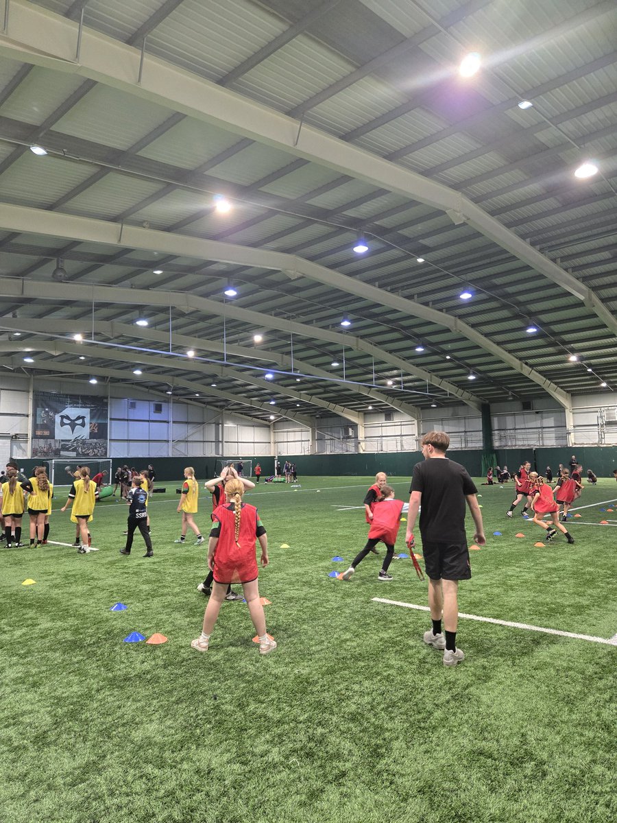 Sarah Lewis tweet media