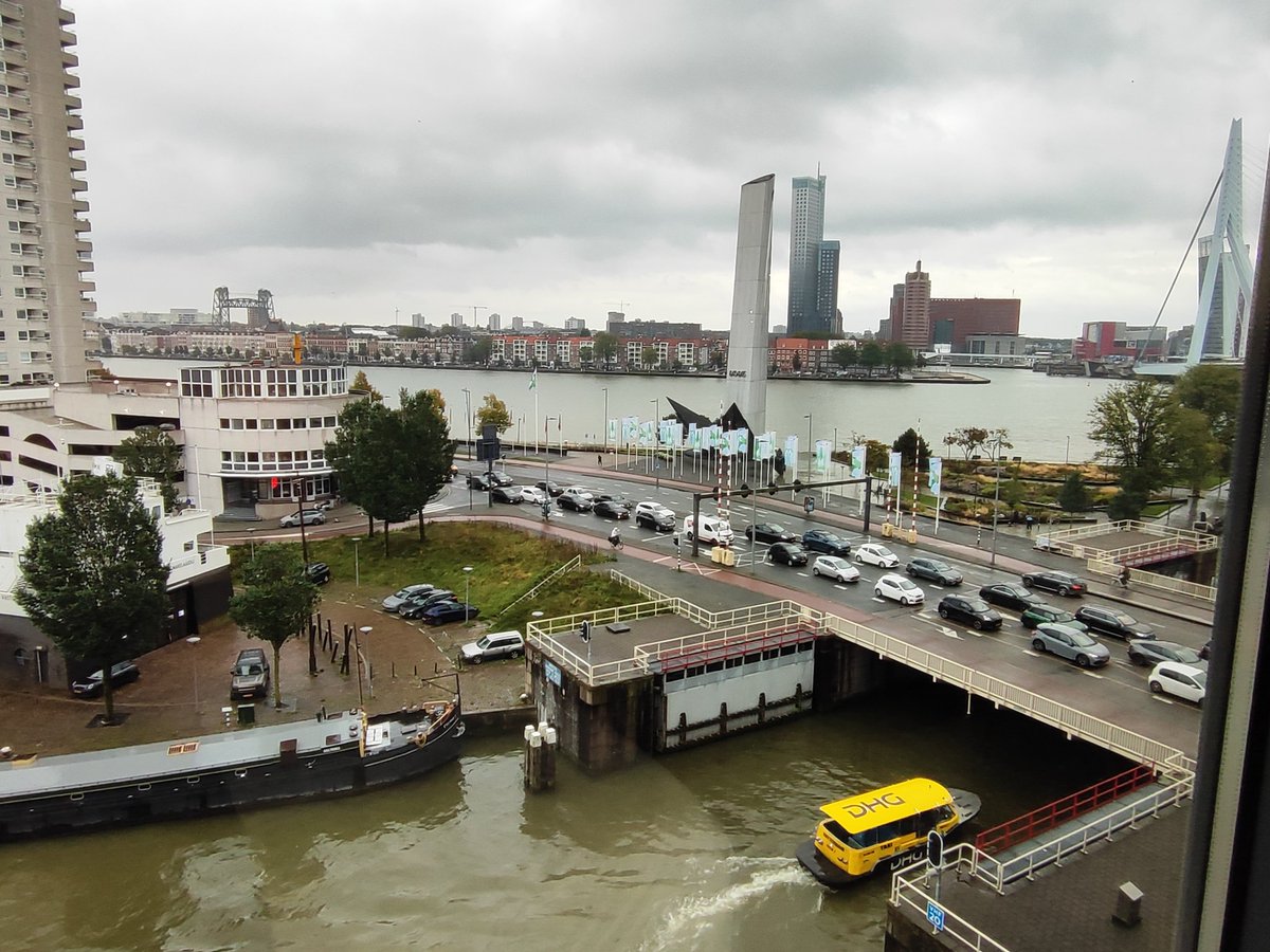 داداشِ رزا tweet media