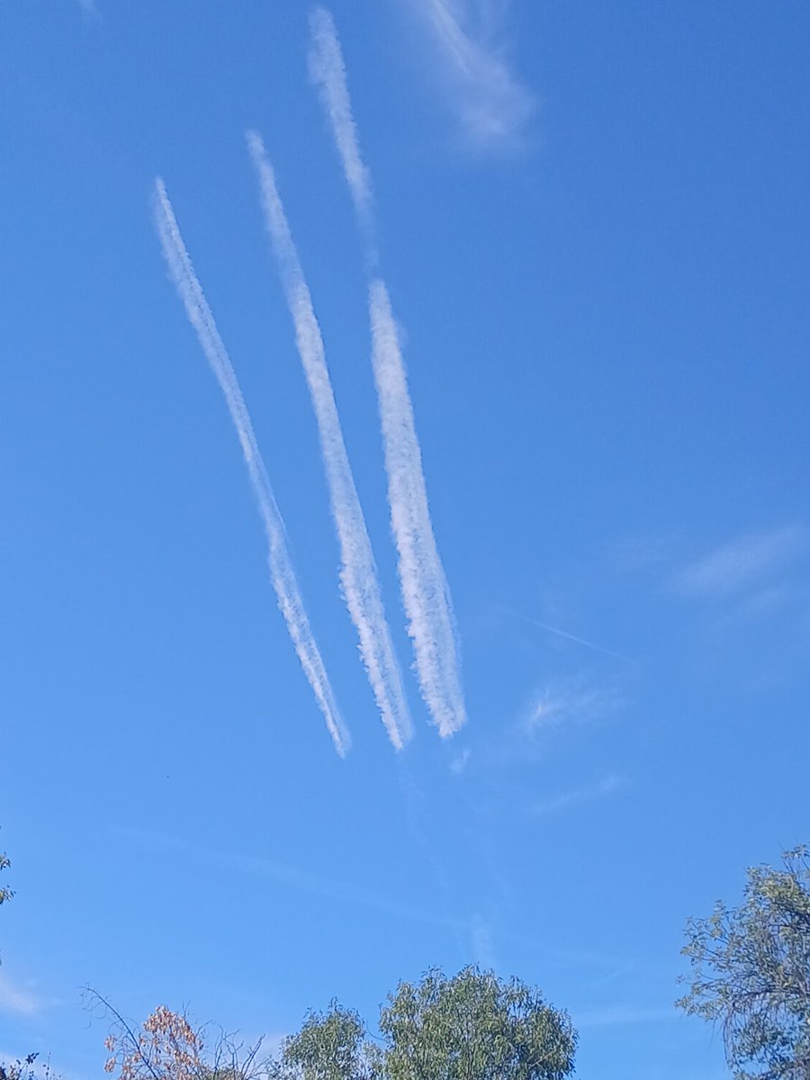 WomanofFaith22's tweet photo. I can't make this up! These stripes are representative of Jesus's beating With His stripes you are healed When you call on the name of Jesus in Faith He will HEAL YOU Your Strom is in Jesus! Call Him! After I posted the video I look up and see this! Open your mouth! #trueprophet https://t.co/sPQQEDa8Cp
