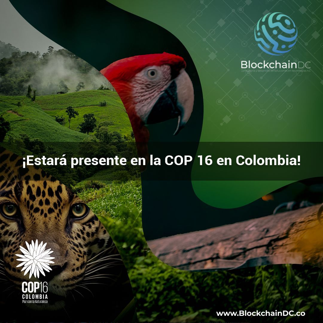 Blockchaindevc's tweet image. ¡ emocionados de anunciar que BlockchainDC participará en la COP16 junto a WWF–Fondo Mundial para la Naturaleza, Juntos, fomentaremos  proyectos tecnológicos  innovadores que generen un impacto positivo al planeta.
acompáñanos en este viaje hacia un futuro más verde #COP16 #WWF