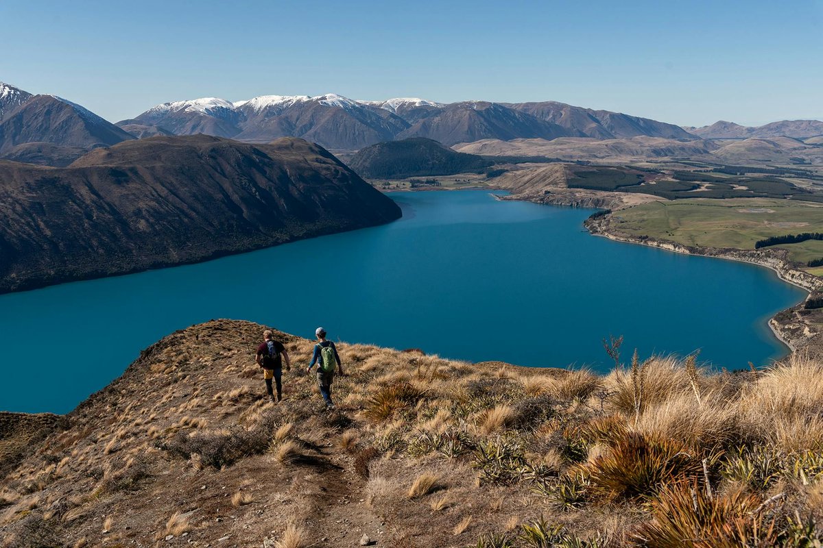 NZ Wilderness tweet media