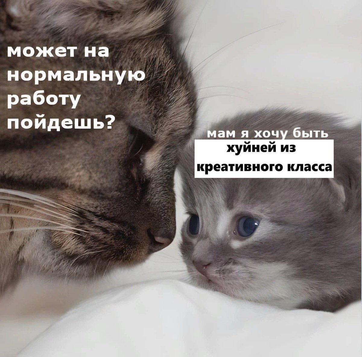 Пошел на хуй (@oskorbitelno) on Twitter photo 