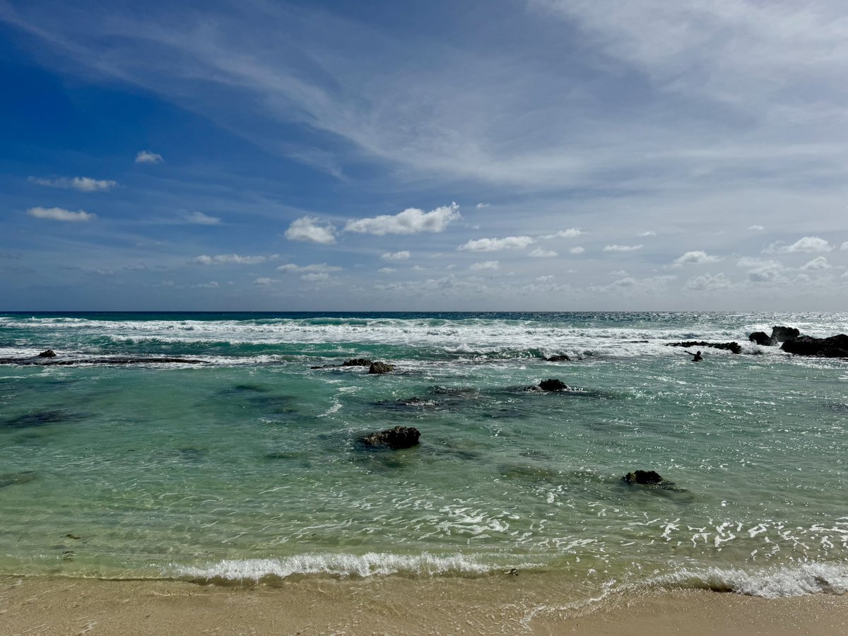 OOTD = Office of the Day