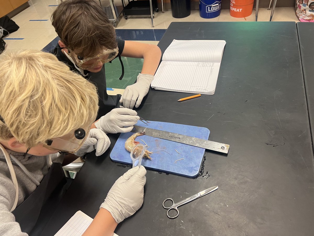 Marine Science at Bayside.  Hands on learning!