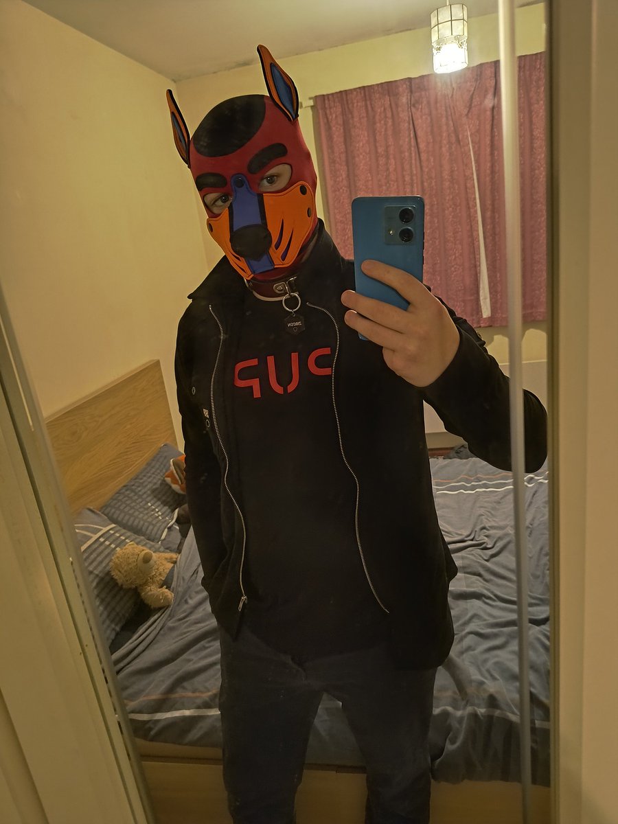Pup Zircon tweet media