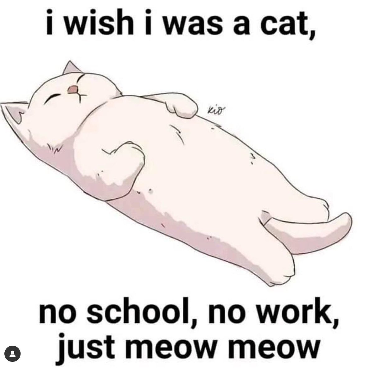 Punch Cat (@punchingcat) on Twitter photo 