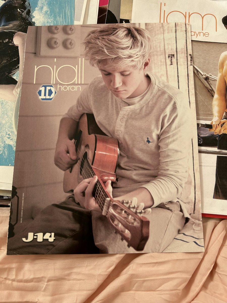 thehorantour's tweet image. The CHOKEHOLD this photo had on Niall girls back in the day