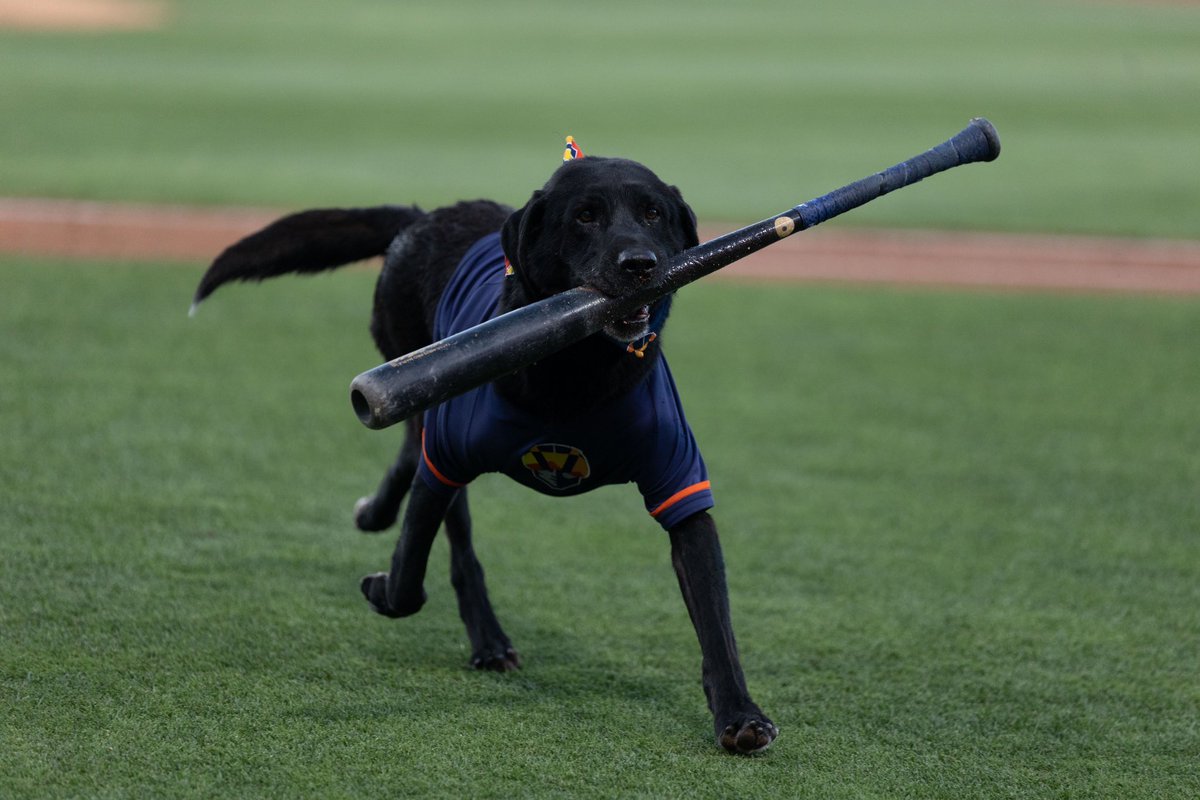 Las Vegas Aviators tweet media