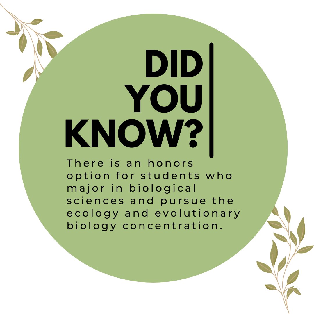 Happy #MajorMonday EEB! Interested in obtaining honors in EEB? Requirements and steps for this process can be found here!
eeb.utk.edu/undergraduate/…